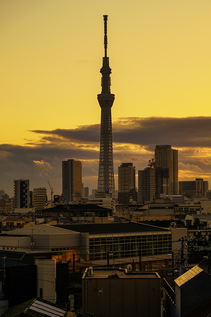 Tokyo skytree view from my office 2015 2 20nobiann