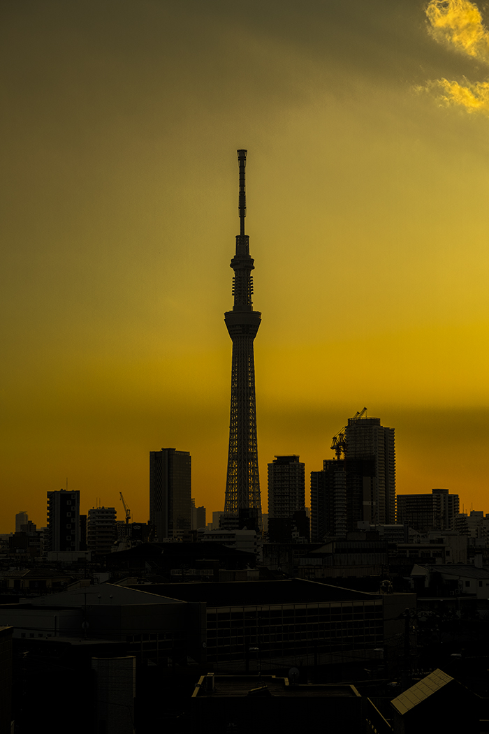 Tokyo skytree view from my office 2015 3 12nobiann